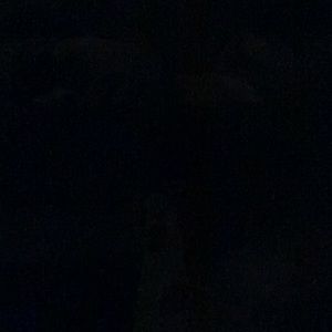 Meet your Posher, Hunter